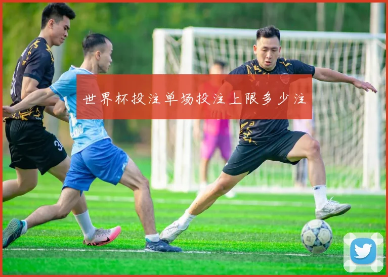 世界杯投注单场投注上限多少注