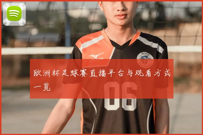 欧洲杯足球赛直播平台与观看方式一览