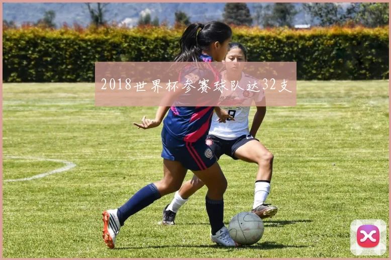 2018世界杯参赛球队达32支