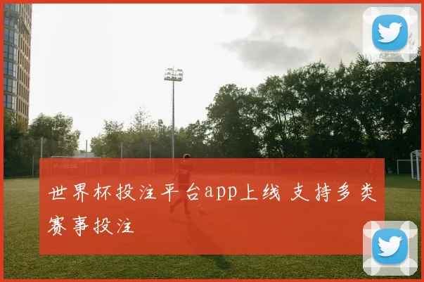 世界杯投注平台app上线 支持多类赛事投注