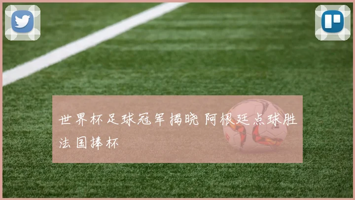 世界杯足球冠军揭晓 阿根廷点球胜法国捧杯
