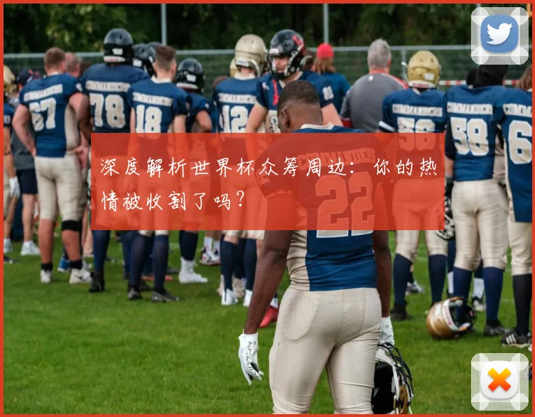 深度解析世界杯众筹周边：你的热情被收割了吗？