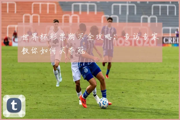 世界杯彩票购买全攻略：专访专家教你如何买夺冠