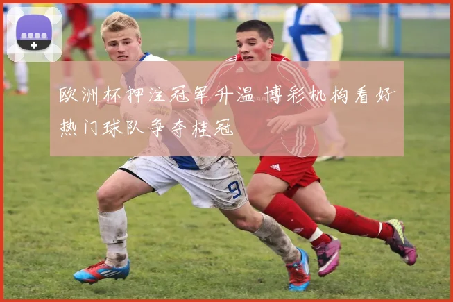 欧洲杯押注冠军升温 博彩机构看好热门球队争夺桂冠