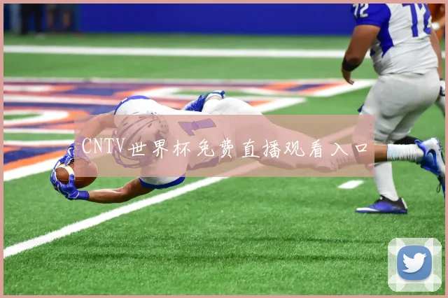 CNTV世界杯免费直播观看入口
