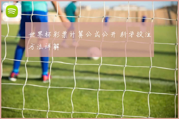 世界杯彩票计算公式公开 科学投注方法详解