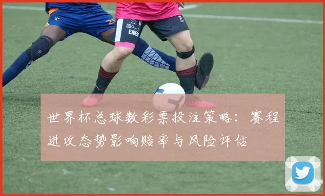 世界杯总球数彩票投注策略：赛程进攻态势影响赔率与风险评估